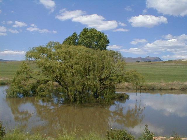 Villa Royal Coachman à Clarens Extérieur photo